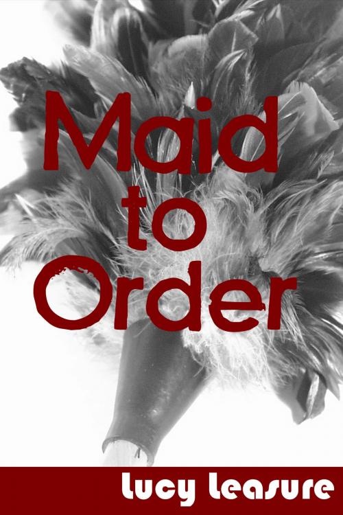 Cover of the book Maid to Order by Lucy Leasure, Lucy Leasure