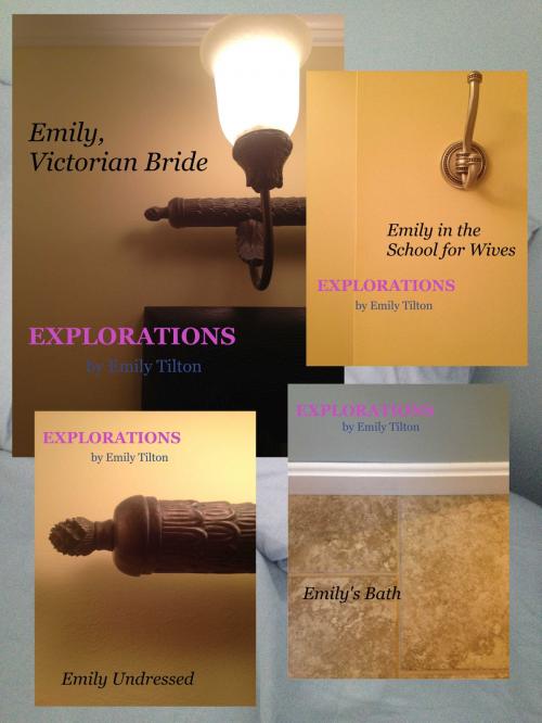Cover of the book Explorations: Books 21-24 by Emily Tilton, Emily Tilton