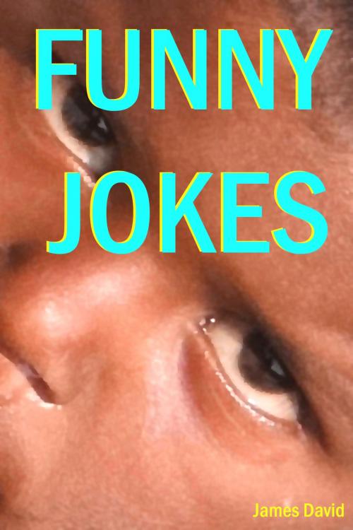 Cover of the book Funny Jokes by James David, Mahesh Dutt Sharma