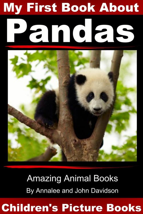 Cover of the book My First Book about Pandas: Children’s Picture Books by Annalee Davidson, John Davidson, JD-Biz Corp Publishing