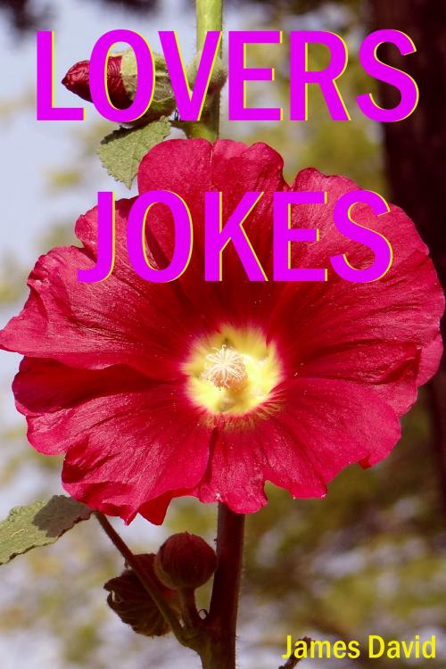 Cover of the book Lovers Jokes by James David, Mahesh Dutt Sharma