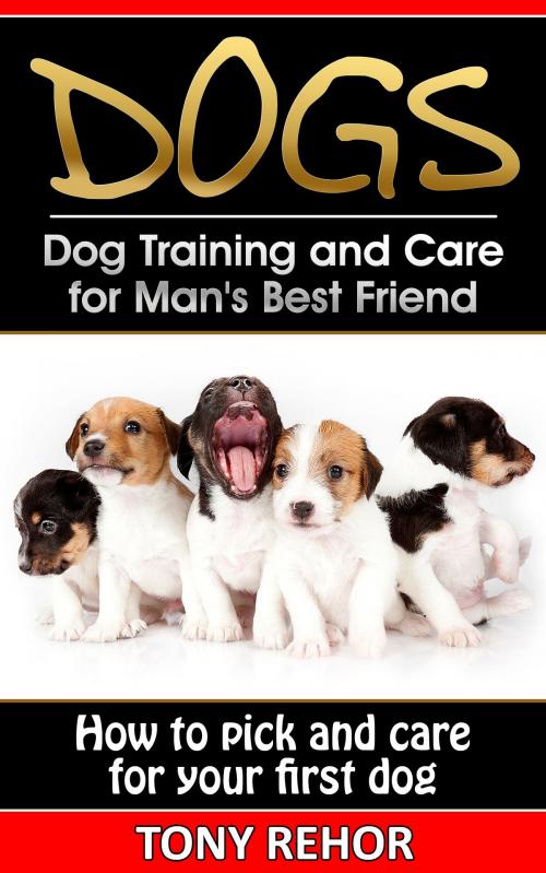 Cover of the book Caring For Your First Dog by Tony Rehor, Tony Rehor