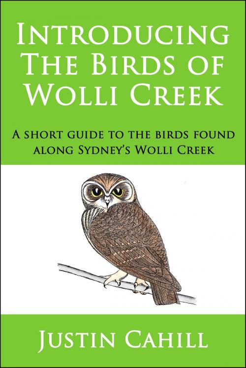 Cover of the book Introducing the Birds of Wolli Creek by Justin Cahill, Justin Cahill