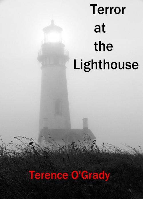 Cover of the book Terror at the Lighthouse by Terence O'Grady, Terence O'Grady