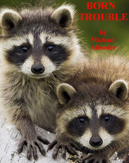 Cover of the book Born Trouble by Michael Allender, Michael Allender