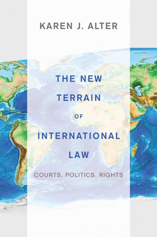 Cover of the book The New Terrain of International Law by Karen J. Alter, Princeton University Press