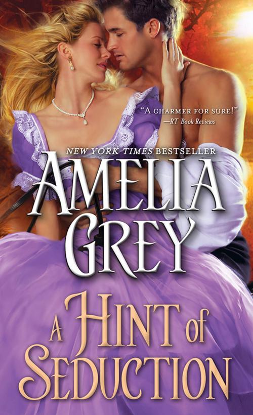 Cover of the book A Hint of Seduction by Amelia Grey, Sourcebooks