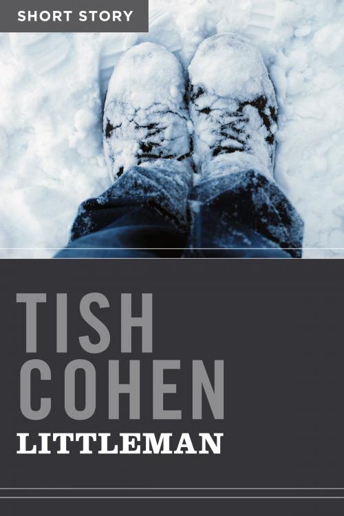 Cover of the book Littleman by Tish Cohen, HarperCollins Publishers