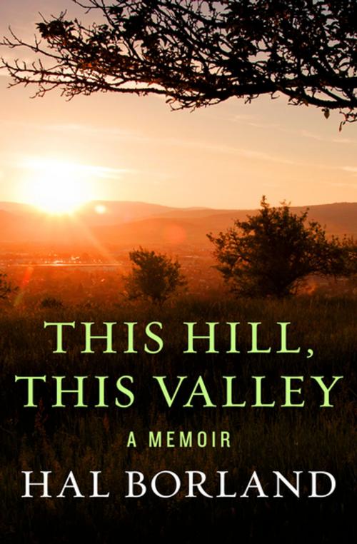 Cover of the book This Hill, This Valley by Hal Borland, Open Road Media