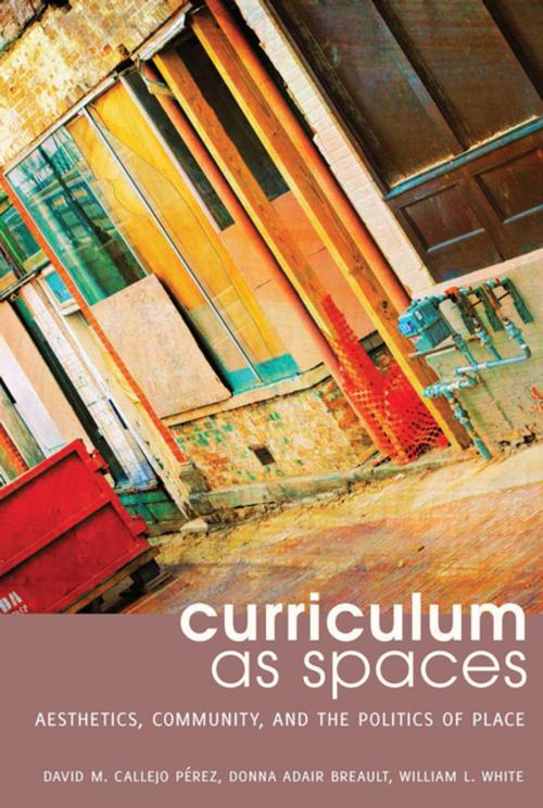 Cover of the book Curriculum as Spaces by David M. Callejo Pérez, Donna Adair Breault, William White, Peter Lang