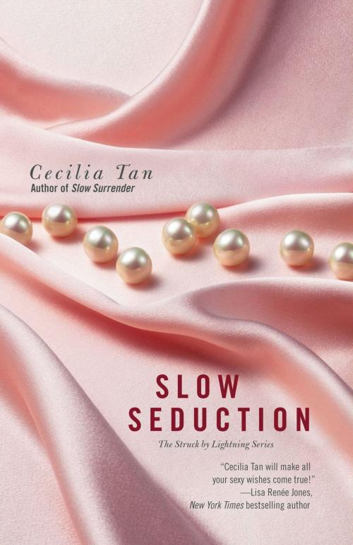 Cover of the book Slow Seduction by Cecilia Tan, Grand Central Publishing