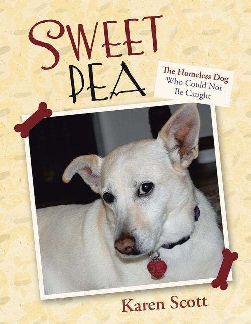 Cover of the book Sweet Pea by Karen Scott, Abbott Press