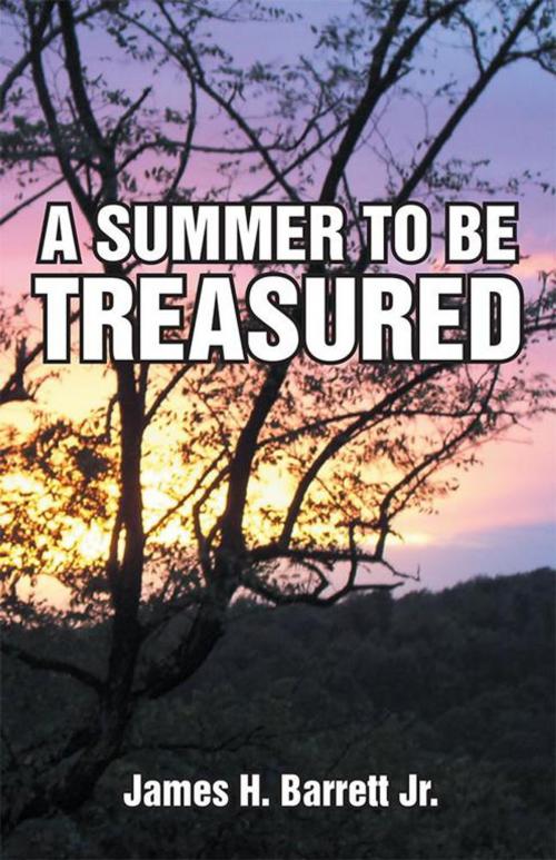 Cover of the book A Summer to Be Treasured by James H. Barrett Jr., Abbott Press