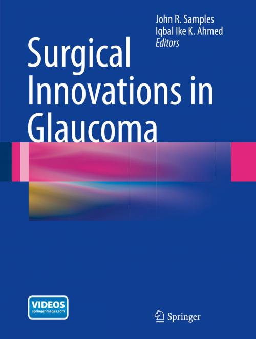 Cover of the book Surgical Innovations in Glaucoma by , Springer New York