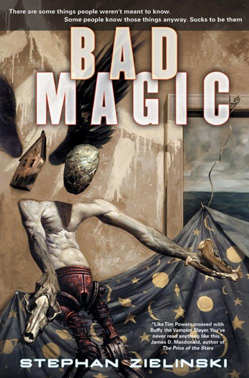 Cover of the book Bad Magic by Stephan Zielinski, Tom Doherty Associates