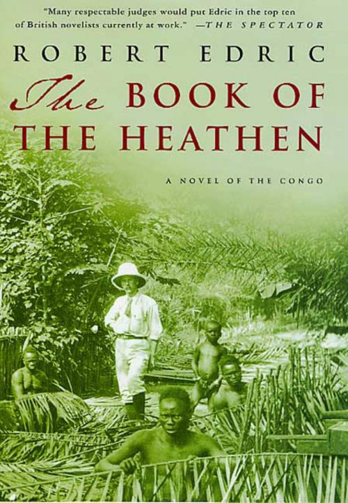 Cover of the book The Book of the Heathen by Robert Edric, St. Martin's Press