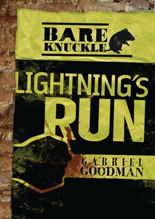 Cover of the book Lightning's Run by Gabriel Goodman, Lerner Publishing Group