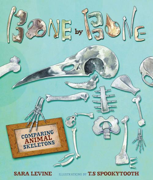Cover of the book Bone by Bone by Sara Levine, Lerner Publishing Group