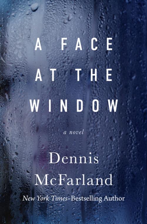 Cover of the book A Face at the Window by Dennis McFarland, Open Road Media