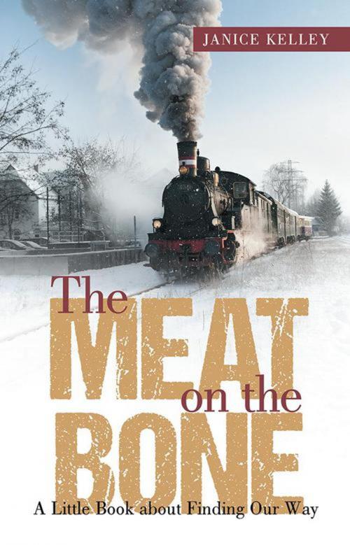 Cover of the book The Meat on the Bone by Janice Kelley, Archway Publishing