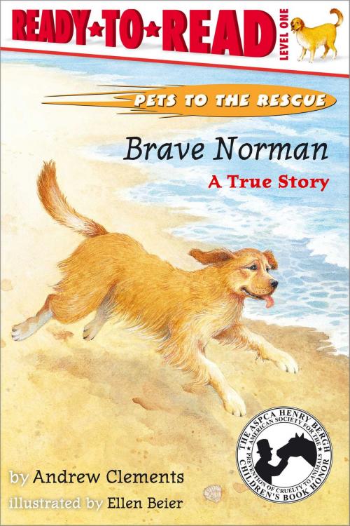 Cover of the book Brave Norman by Andrew Clements, Simon Spotlight