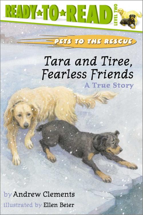 Cover of the book Tara and Tiree, Fearless Friends by Andrew Clements, Simon Spotlight