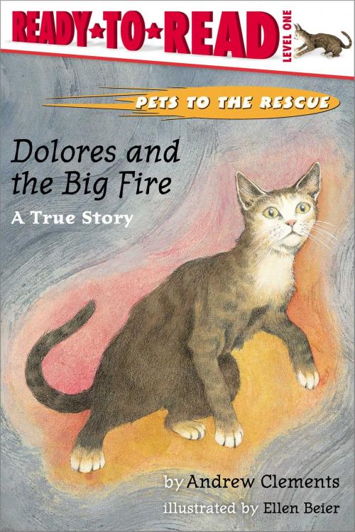 Cover of the book Dolores and the Big Fire by Andrew Clements, Simon Spotlight