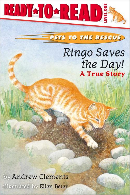 Cover of the book Ringo Saves the Day! by Andrew Clements, Simon Spotlight