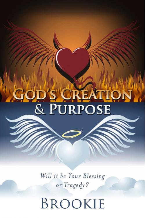 Cover of the book God's Creation & Purpose by Brookie, BookBaby