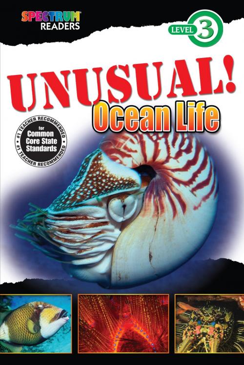 Cover of the book UNUSUAL! Ocean Life by Teresa Domnauer, Carson Dellosa Education