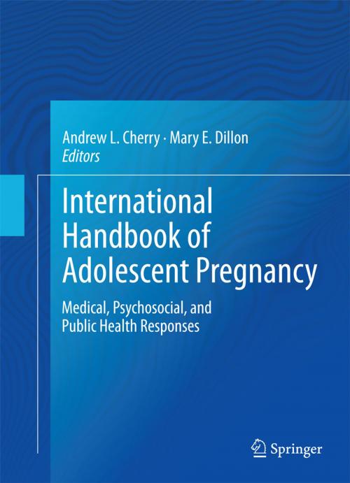 Cover of the book International Handbook of Adolescent Pregnancy by , Springer US