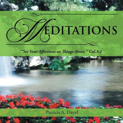 Cover of the book Meditations by Patricia A. David, WestBow Press