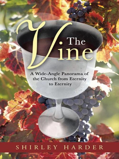 Cover of the book The Vine by Shirley Harder, WestBow Press