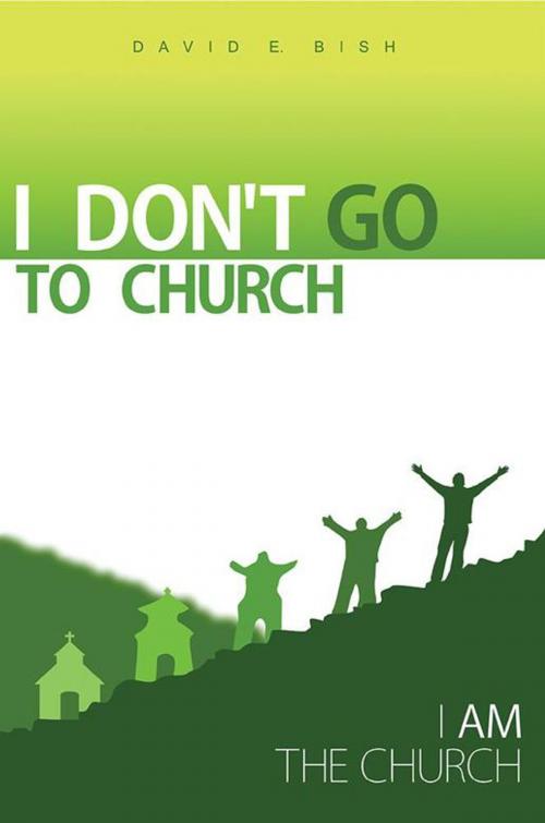 Cover of the book I Don't Go to Church by David E. Bish, WestBow Press
