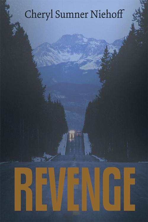 Cover of the book Revenge by Cheryl Sumner Niehoff, WestBow Press
