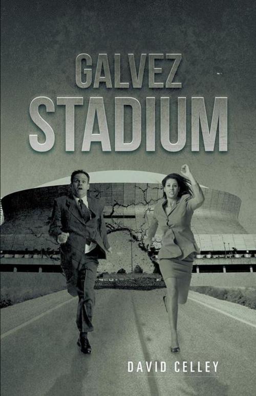 Cover of the book Galvez Stadium by David Celley, iUniverse