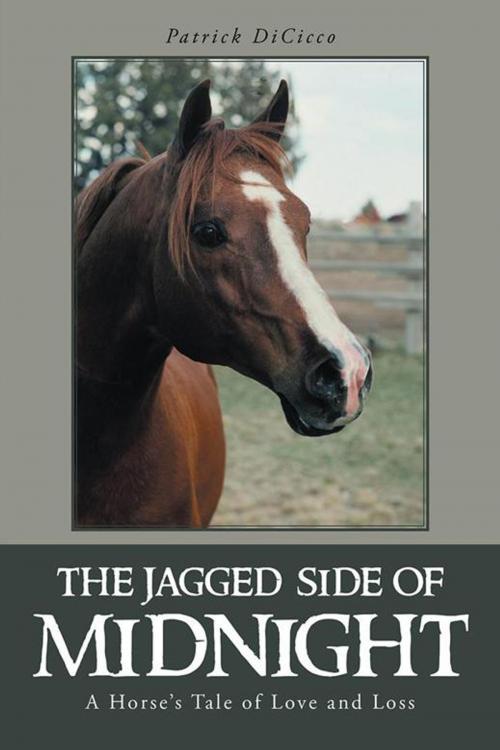 Cover of the book The Jagged Side of Midnight by Patrick DiCicco, iUniverse