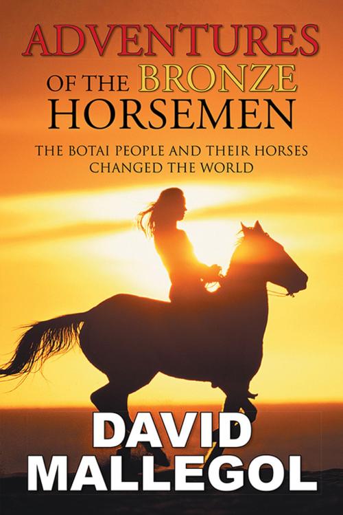 Cover of the book Adventures of the Bronze Horsemen by David Mallegol, iUniverse