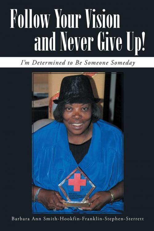 Cover of the book Follow Your Vision and Never Give Up! by Barbara Ann Smith-Hookfin-Franklin-Stephen-Sterrett, iUniverse