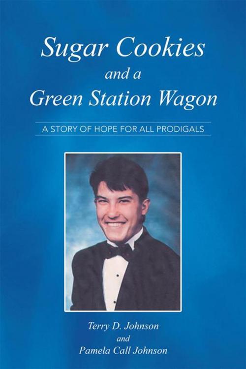 Cover of the book Sugar Cookies and a Green Station Wagon by Pamela Call Johnson, Terry Johnson, AuthorHouse