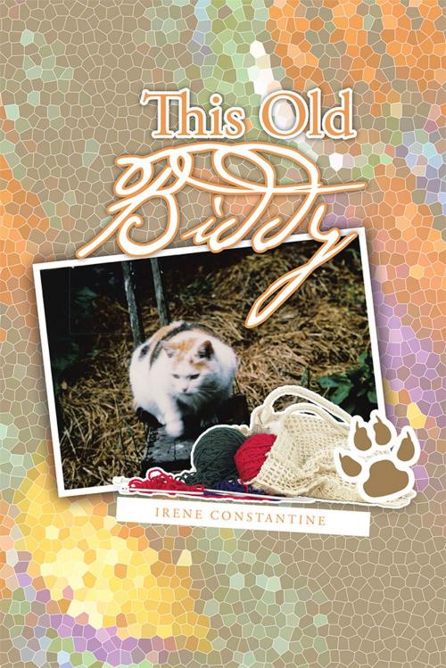 Cover of the book This Old Biddy by Irene Constantine, AuthorHouse UK