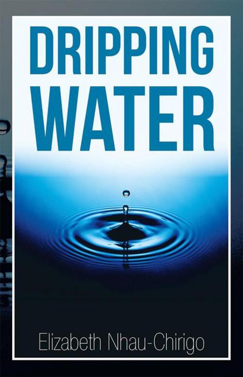 Cover of the book Dripping Water by Elizabeth Nhau-Chirigo, Xlibris UK