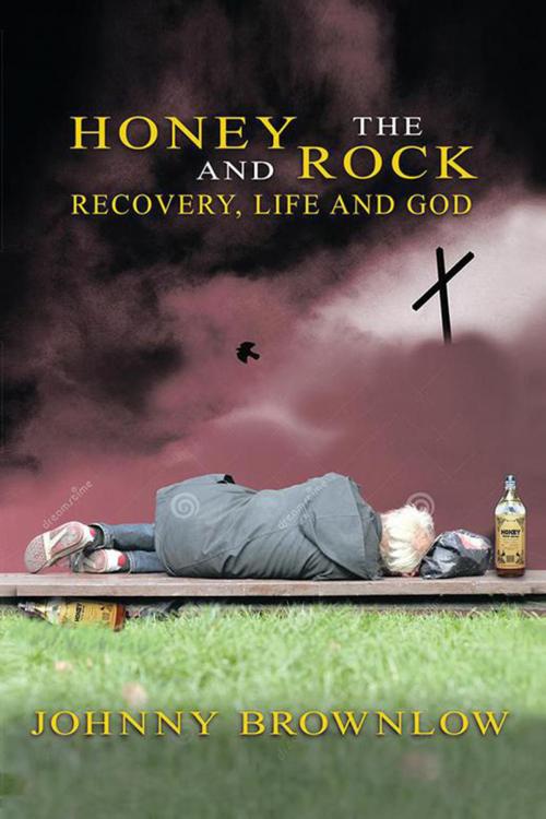 Cover of the book Honey and the Rock by Johnny Brownlow, Xlibris US