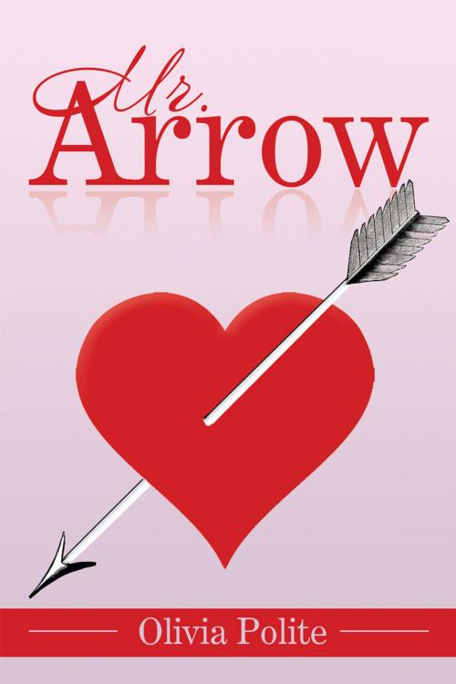Cover of the book Mr. Arrow by Olivia Polite, Xlibris US