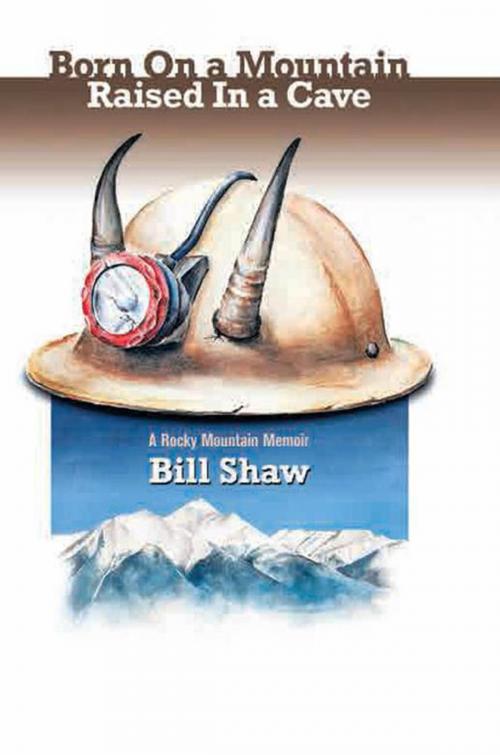 Cover of the book Born on a Mountain, Raised in a Cave by Bill Shaw, Xlibris US