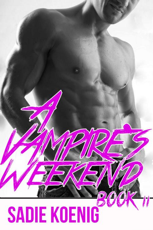 Cover of the book A Vampire's Weekend Book #2 by Sadie Koenig, Sadie Koenig