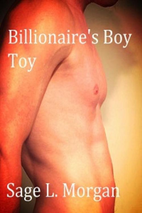 Cover of the book Billionaire's Boy Toy by Sage L. Morgan, Sage L. Morgan