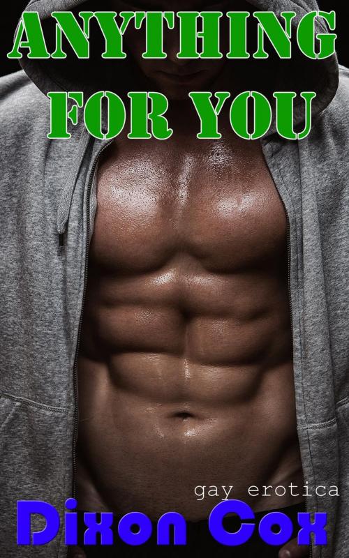 Cover of the book Anything For You by Dixon Cox, Dirty Eros