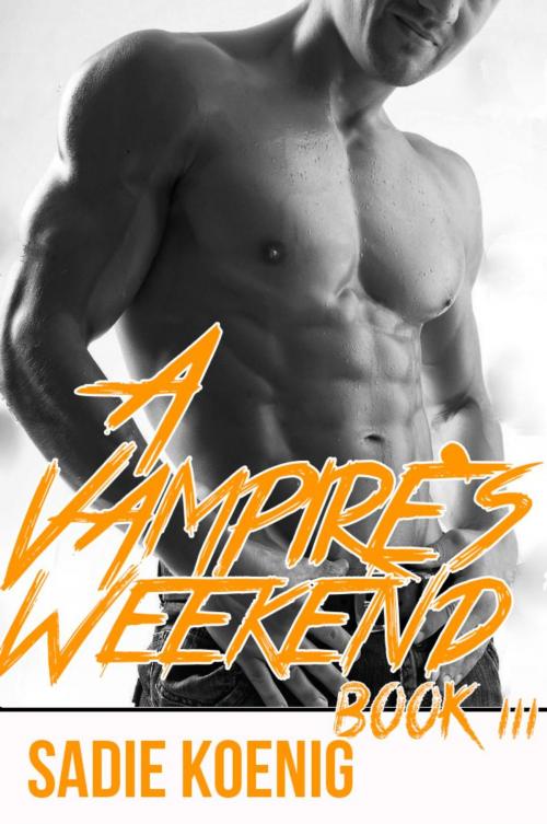 Cover of the book A Vampire's Weekend Book #3 by Sadie Koenig, Sadie Koenig