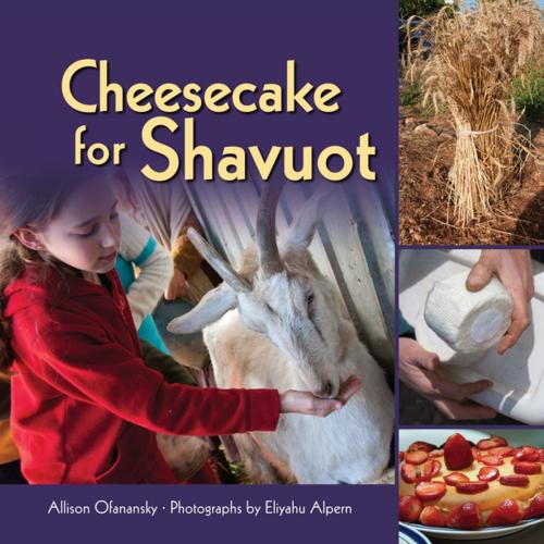 Cover of the book Cheesecake for Shavuot by Allison Maile Ofanansky, Lerner Publishing Group